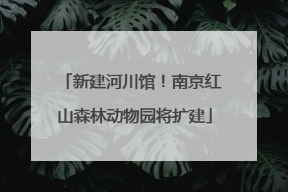 新建河川馆！南京红山森林动物园将扩建