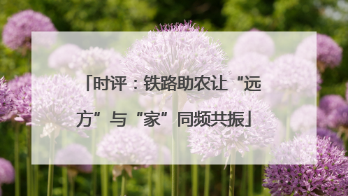 时评：铁路助农让“远方”与“家”同频共振