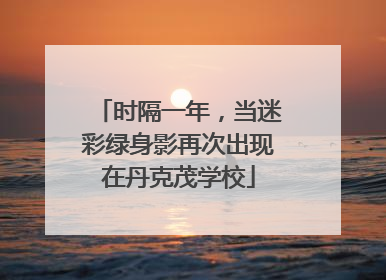 时隔一年，当迷彩绿身影再次出现在丹克茂学校