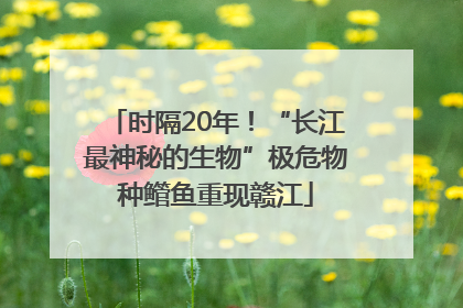 时隔20年！“长江最神秘的生物”极危物种鳤鱼重现赣江