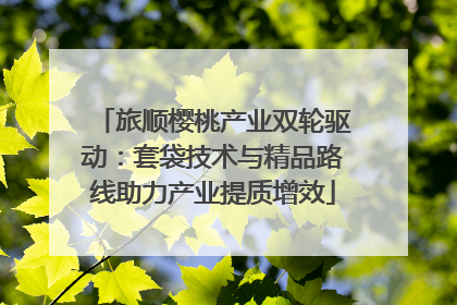 旅顺樱桃产业双轮驱动：套袋技术与精品路线助力产业提质增效