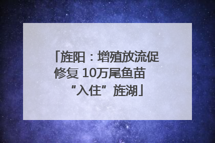 旌阳：增殖放流促修复 10万尾鱼苗“入住”旌湖