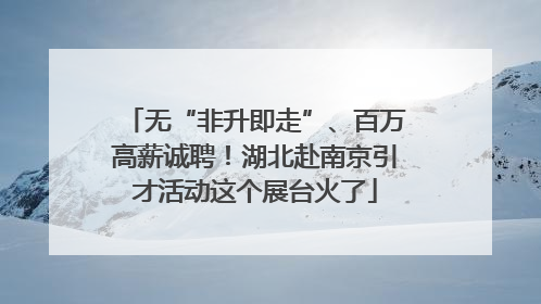 无“非升即走”、百万高薪诚聘！湖北赴南京引才活动这个展台火了