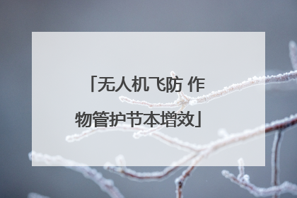无人机飞防 作物管护节本增效