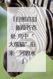 日照莒县：蒹葭苍苍处 鸟中“大熊猫”衔来一河碧水