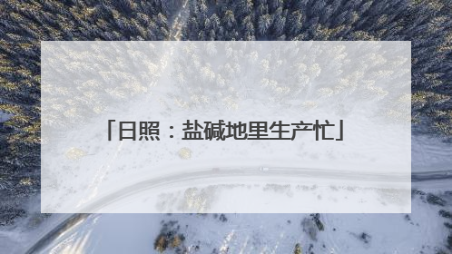 日照：盐碱地里生产忙