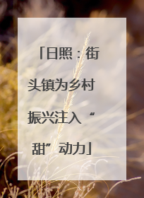 日照：街头镇为乡村振兴注入“甜”动力