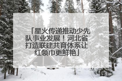 星火传递推动少先队事业发展！河北省打造联建共育体系让红领巾更鲜艳