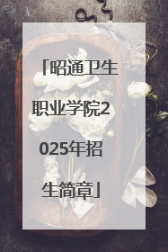 昭通卫生职业学院2025年招生简章