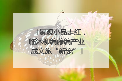 景观小品走红，临沭柳编藤编产业成文旅“新宠”