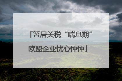 暂居关税“喘息期” 欧盟企业忧心忡忡