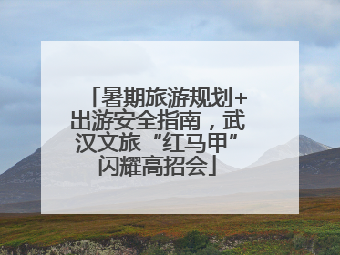 暑期旅游规划+出游安全指南，武汉文旅“红马甲”闪耀高招会