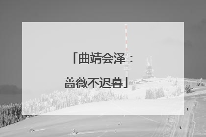 曲靖会泽：蔷薇不迟暮