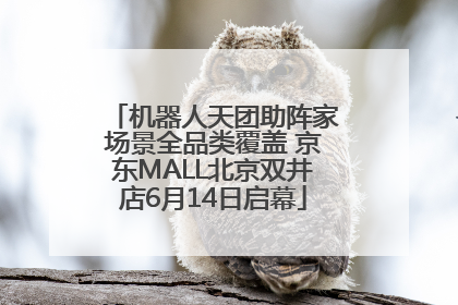 机器人天团助阵家场景全品类覆盖 京东MALL北京双井店6月14日启幕