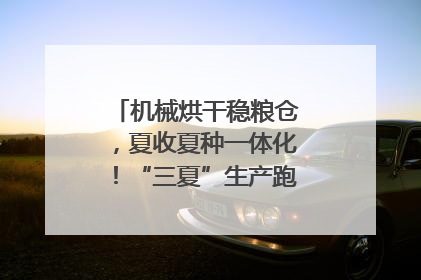 机械烘干稳粮仓，夏收夏种一体化！“三夏”生产跑出加速度｜麦报