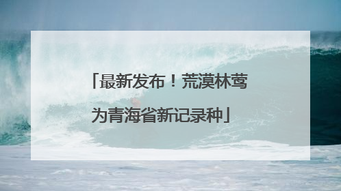 最新发布！荒漠林莺为青海省新记录种