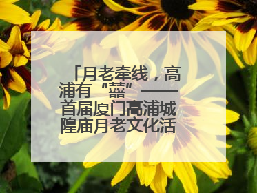 月老牵线，高浦有“囍”——首届厦门高浦城隍庙月老文化活动暨他趣百城见面会隆重举办