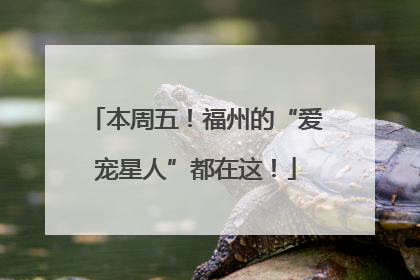 本周五！福州的“爱宠星人”都在这！