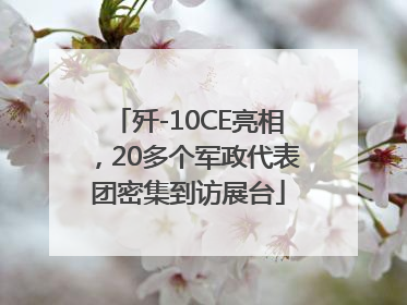 歼-10CE亮相，20多个军政代表团密集到访展台