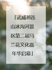 武威祁连山冰沟河景区第二届马兰花文化嘉年华启幕