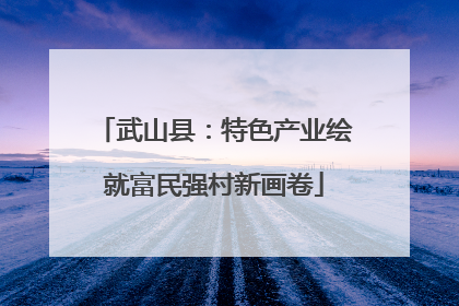 武山县：特色产业绘就富民强村新画卷