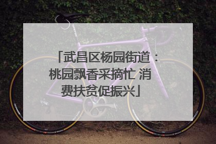 武昌区杨园街道：桃园飘香采摘忙 消费扶贫促振兴
