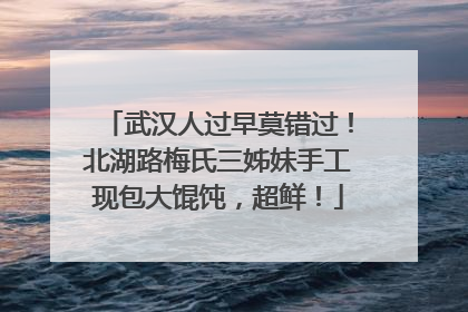 武汉人过早莫错过！北湖路梅氏三姊妹手工现包大馄饨，超鲜！
