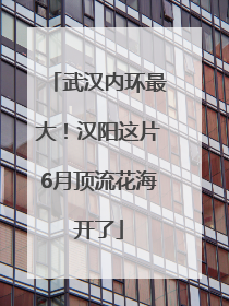 武汉内环最大！汉阳这片6月顶流花海开了