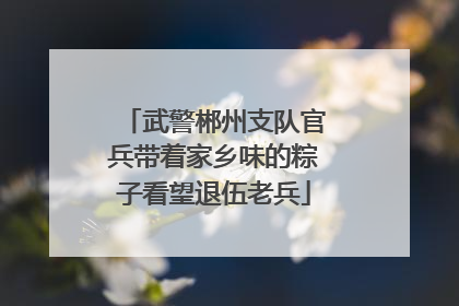 武警郴州支队官兵带着家乡味的粽子看望退伍老兵