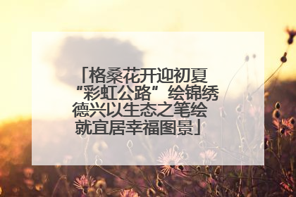 格桑花开迎初夏 “彩虹公路”绘锦绣 德兴以生态之笔绘就宜居幸福图景