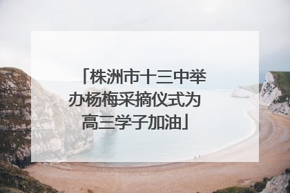株洲市十三中举办杨梅采摘仪式为高三学子加油