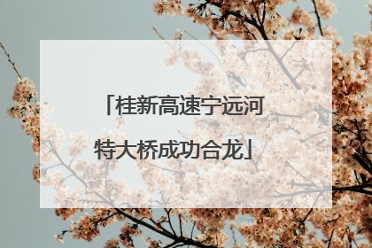 桂新高速宁远河特大桥成功合龙