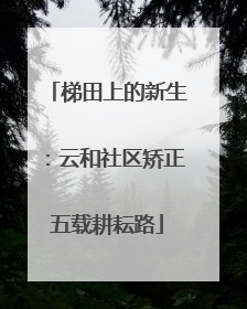 梯田上的新生：云和社区矫正五载耕耘路