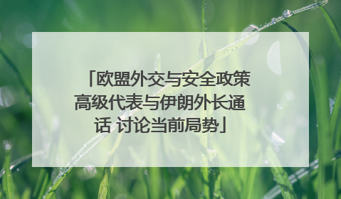 欧盟外交与安全政策高级代表与伊朗外长通话 讨论当前局势