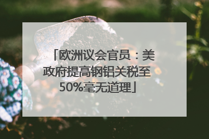 欧洲议会官员：美政府提高钢铝关税至50%毫无道理