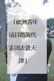 欧洲青年项目路演代表团走进天津