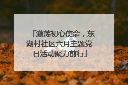 激荡初心使命，东湖村社区六月主题党日活动聚力前行