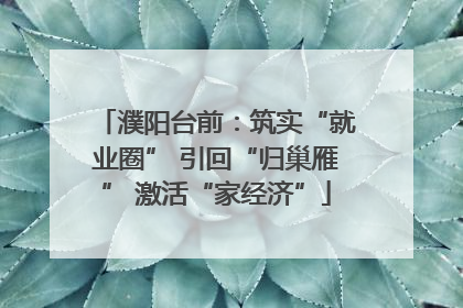 濮阳台前：筑实“就业圈” 引回“归巢雁” 激活“家经济”