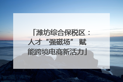 潍坊综合保税区：人才“强磁场” 赋能跨境电商新活力