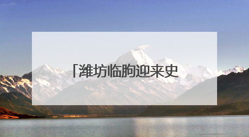 潍坊临朐迎来史上最大规模法国祖代朗德鹅种苗