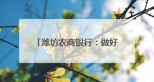 潍坊农商银行：做好“三夏”金融服务，助力“麦”向丰收