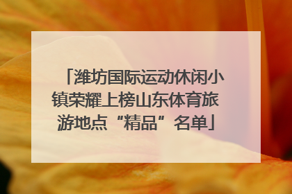 潍坊国际运动休闲小镇荣耀上榜山东体育旅游地点“精品”名单