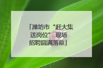 潍坊市“赶大集 送岗位” 现场招聘圆满落幕