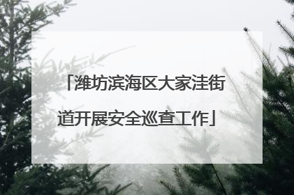 潍坊滨海区大家洼街道开展安全巡查工作