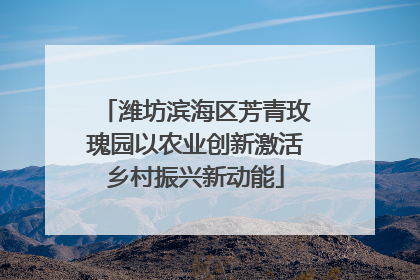 潍坊滨海区芳青玫瑰园以农业创新激活乡村振兴新动能