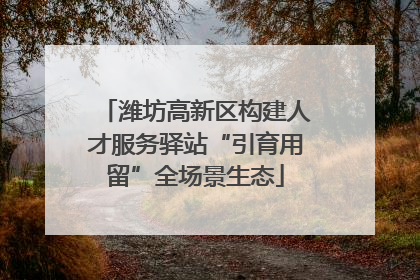 潍坊高新区构建人才服务驿站“引育用留”全场景生态
