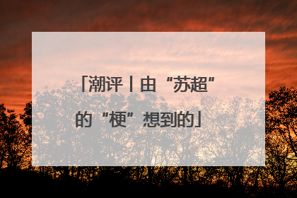 潮评丨由“苏超”的“梗”想到的