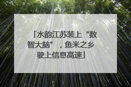 水韵江苏装上“数智大脑”，鱼米之乡驶上信息高速