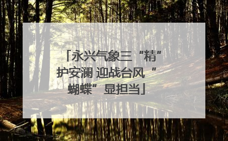永兴气象三“精”护安澜 迎战台风“蝴蝶”显担当