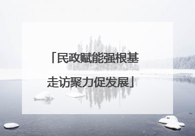 民政赋能强根基 走访聚力促发展